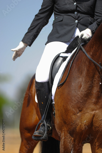 Close up on a bay horse with rider during a dressage competition   © PROMA