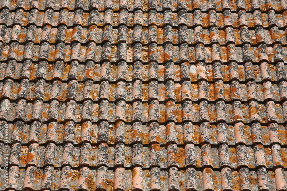 Clay tiled roof top pattern in Serpa village, Portugal . Clay tiled roof top pattern in Serpa village, Portugal .