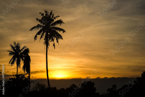 Golden tropical sunset with silhouette palm trees