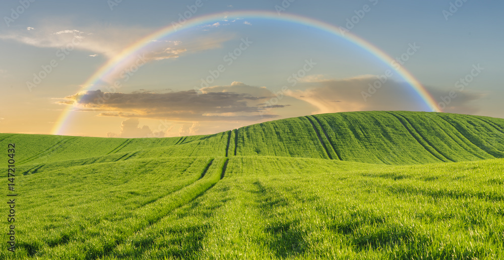 Naklejka premium Rainbow over a spring green field