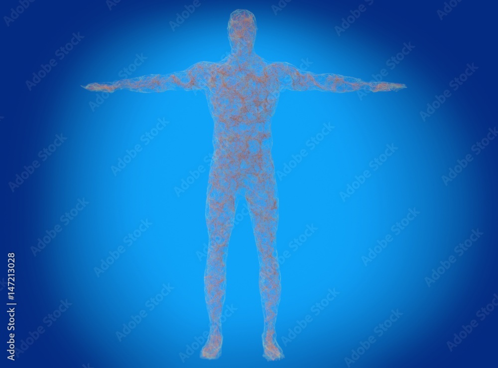 Neural connections concept. Human body neurology, nervous system. 3D illustration Neural connections concept. Human body neurology, nervous system. 3D illustration
