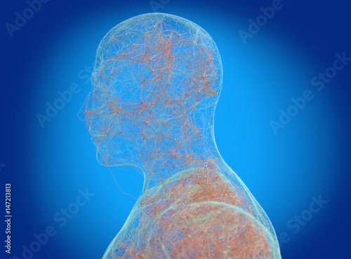 Neural connections concept. Human body neurology, nervous system. 3D illustration