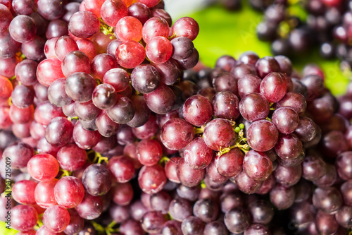 Bunches of fresh ripe red grapes, Red wine grapes background