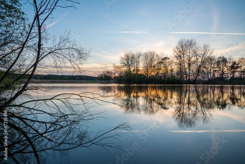 Evening landscape with several trees on side of small pond