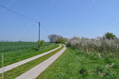 Plattenweg am Hochufer nach Vitt und Kap Arkon, Rügen