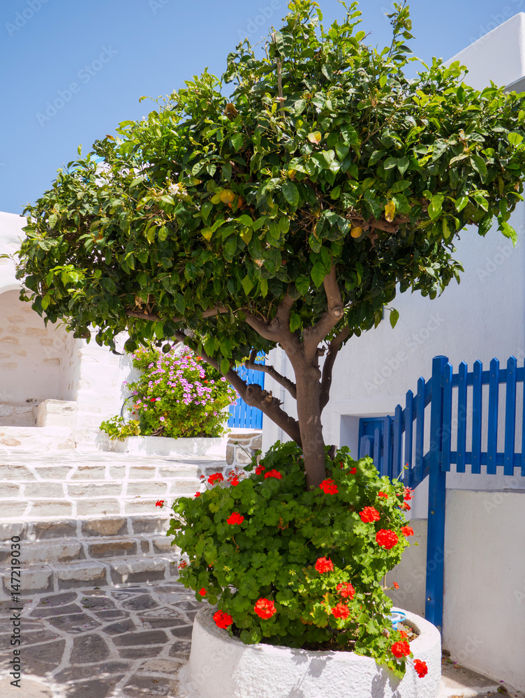 Obraz premium Traditional street in a Greek island