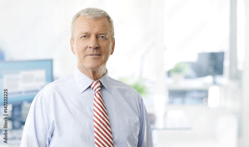 Senior professional businessman portrait Senior professional businessman portrait