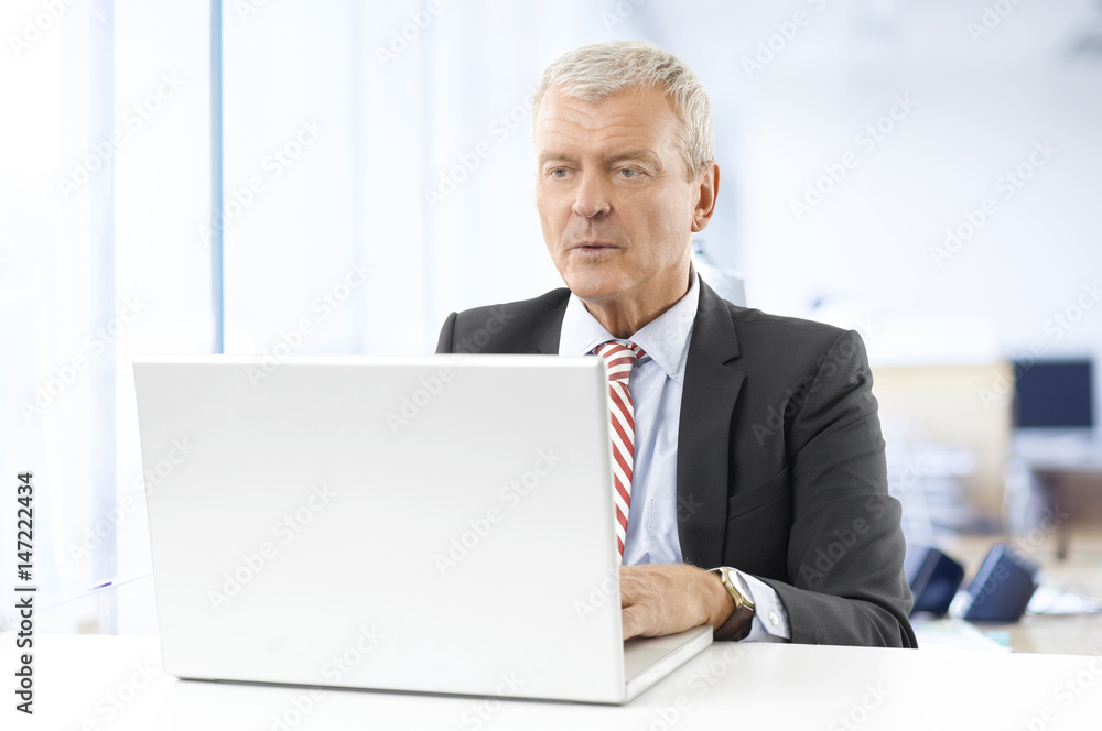 Professional financial man. Shot of a senior businessman working on laptop while sitting at office desk. Professional financial man. Shot of a senior businessman working on laptop while sitting at office desk.