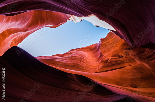 Vászonkép Pink peach wave shapes photographed at slots canyons in Arizona with blue sky