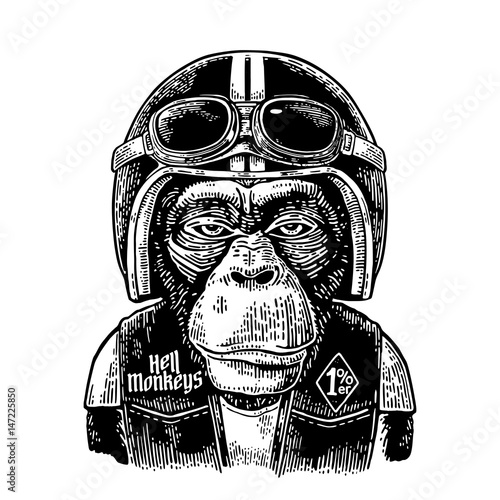 Monkey in the motorcycle helmet and glasses. Vintage black engraving