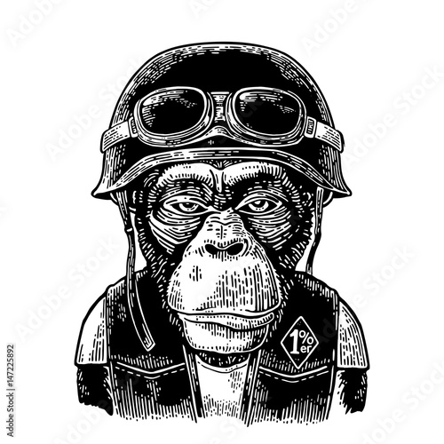 Monkey in the motorcycle helmet and glasses. Vintage black engraving