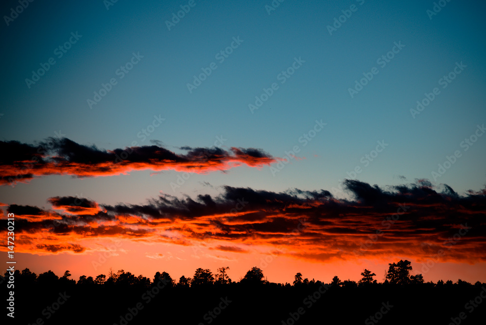 Forrest and Sunset Forrest and Sunset