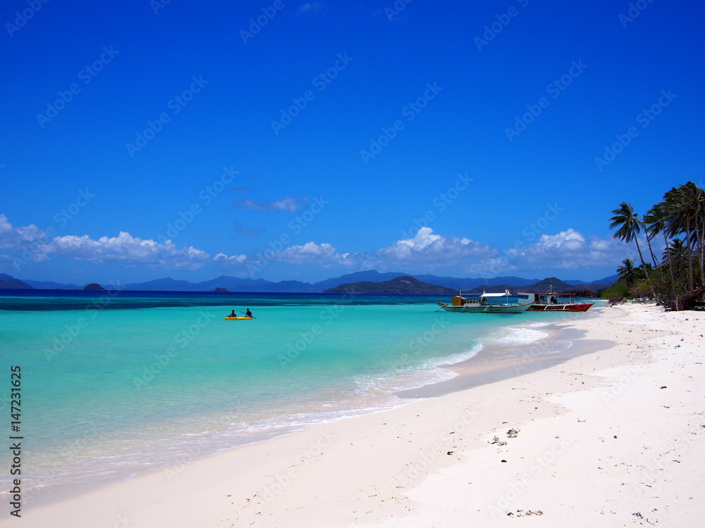 Obraz premium OLYMPUS DIGITAL CAMERA