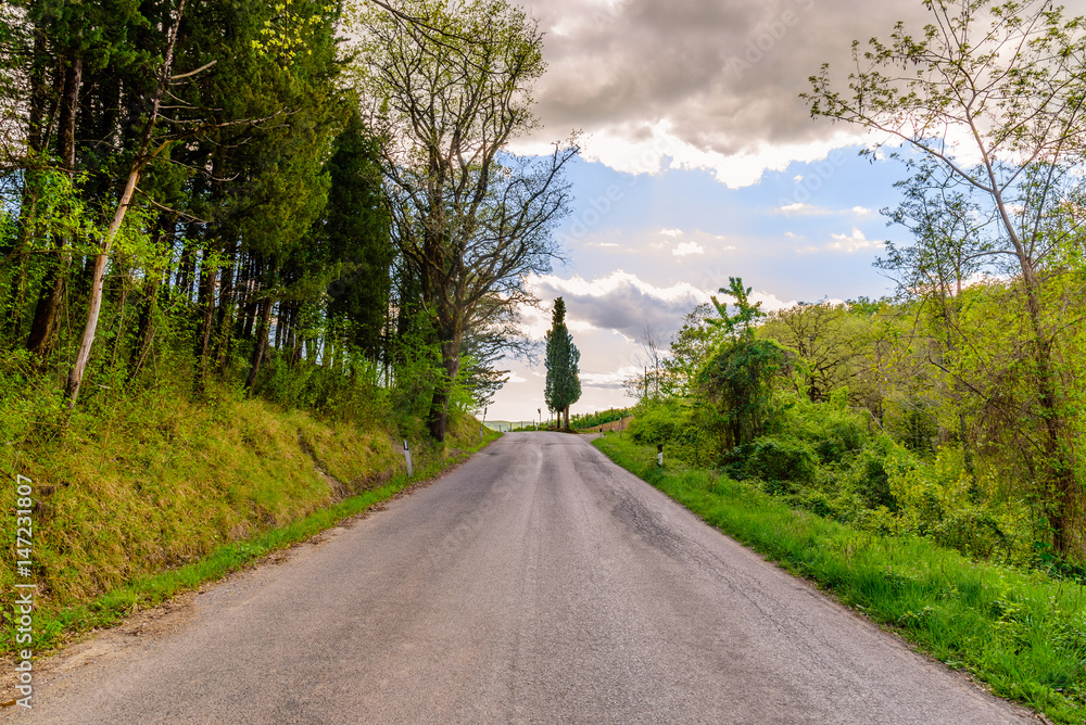 Obraz premium A road near the town of Radda in the Chianti wine area in spring