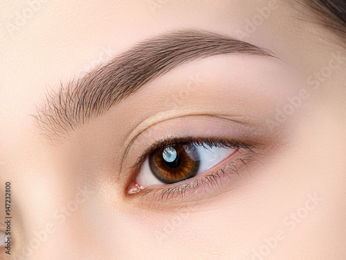 Photo Close up view of beautiful brown female eye