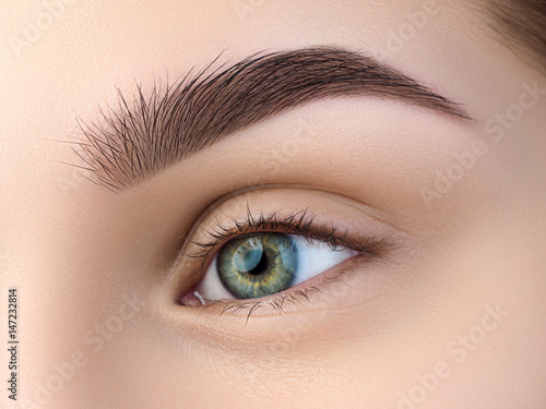 Photo Close up view of beautiful green female eye