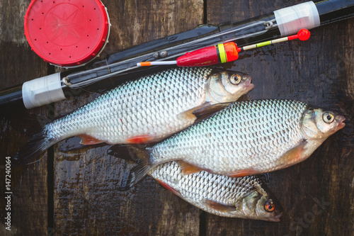 Fotografie Catch from fresh river fish, a can of bait and a float rod