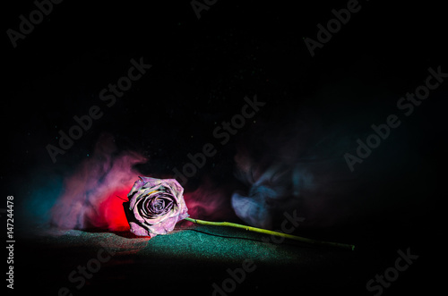 Fototapeta Naklejka Na Ścianę i Meble -  A wilting rose signifies lost love, divorce, or a bad relationship, dead rose on dark background