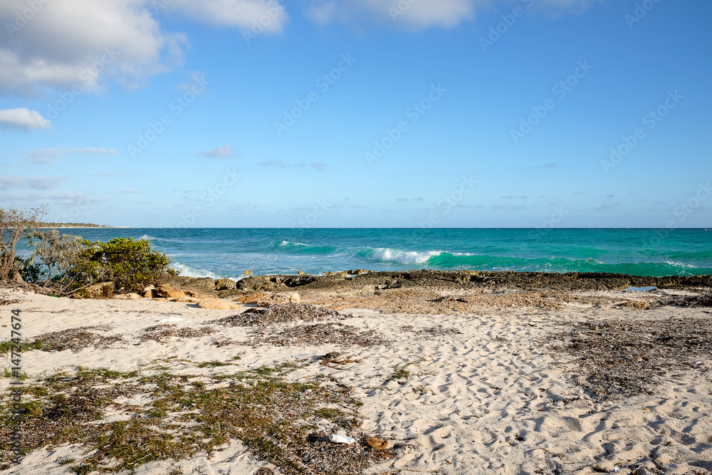 Beautiful beach landscape with tourquise atlantic ocean in Cayo Coco, Cuba