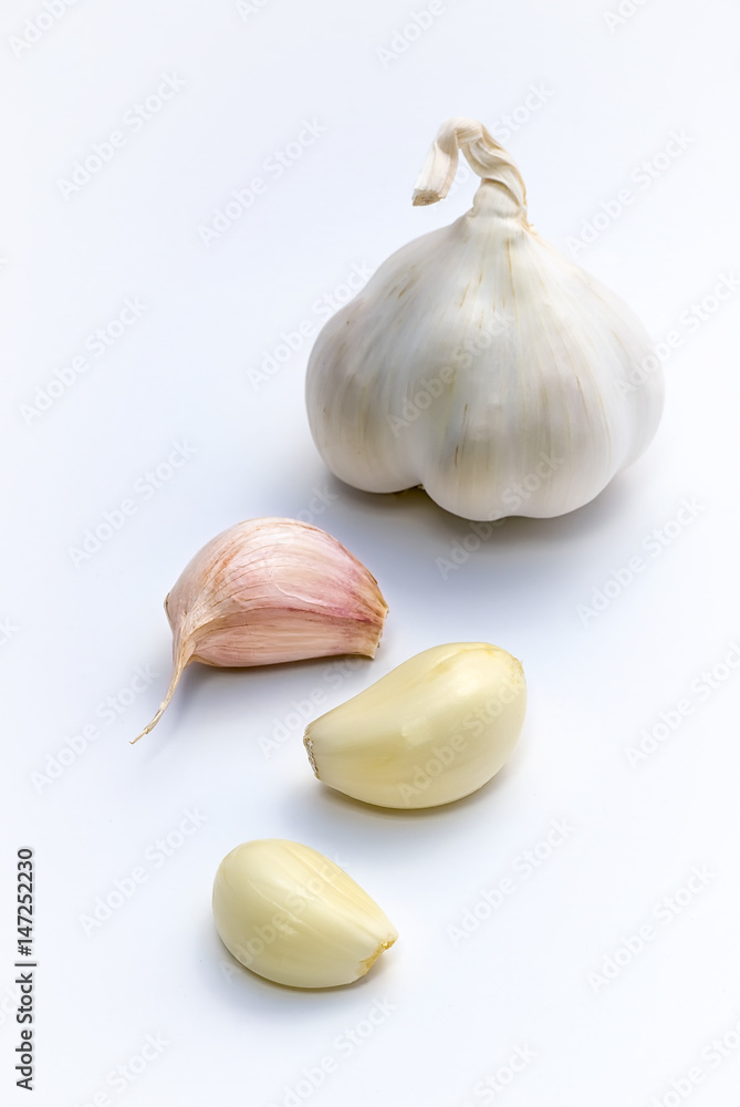 Garlic (Allium sativum) isolated on white background
