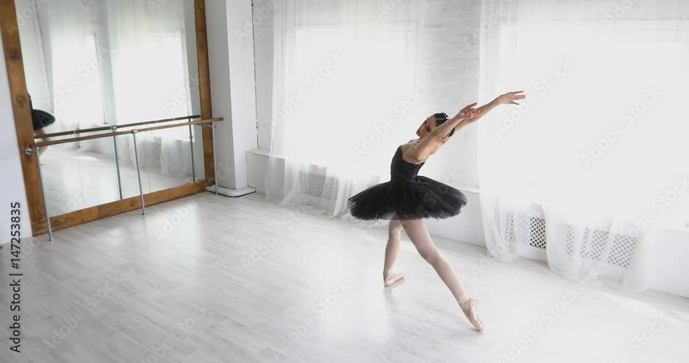 graceful girl practicing ballet in the Studio graceful girl practicing ballet in the Studio