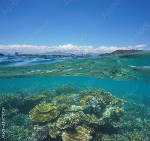 Over under water surface, beautiful coral reef underwater with the city of Noumea at the horizon, Grande-Terre, New Caledonia, south Pacific ocean