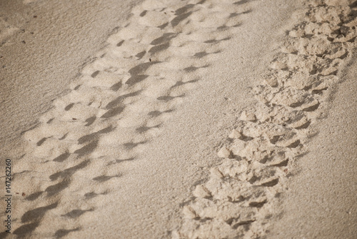 close-up of engine tyre trace track on a sandy beach on a sandy beach of, in sunlight