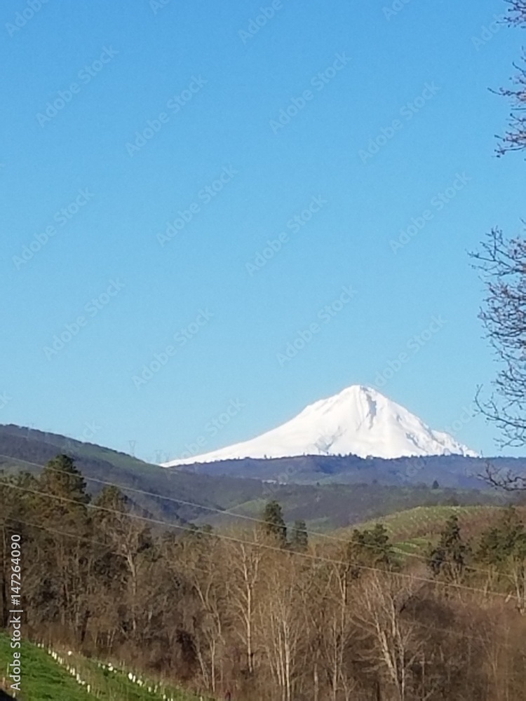 Fototapeta premium MtHoodOregon_04