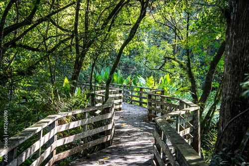 Everglades Walk