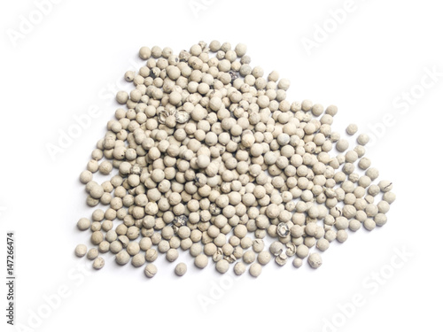 Coriander seeds isolated