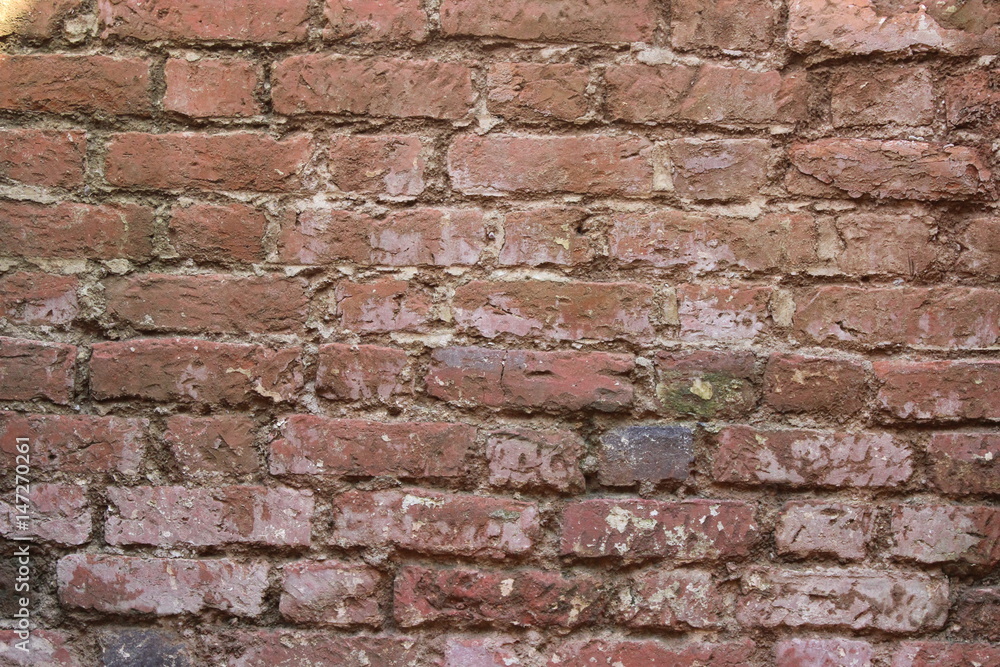 Naklejka premium flying