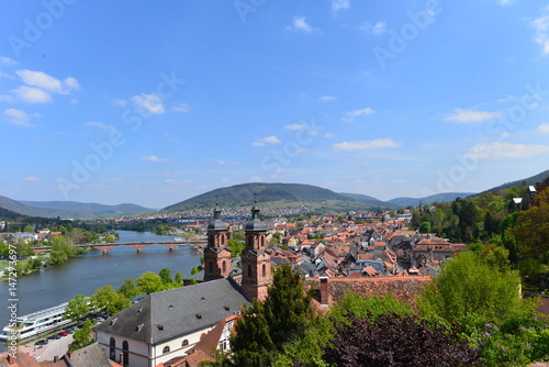 Miltenberg in Unterfranken Bayern