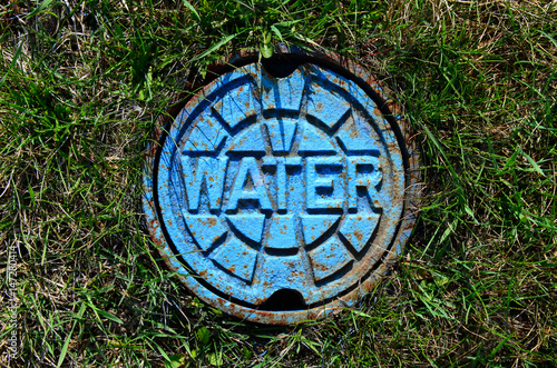 Rusting water valve cover plate in grass painted blue.
