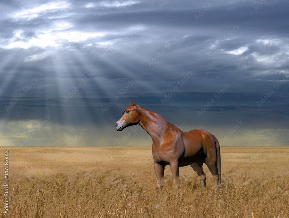 Obraz premium Horse in a Golden Wheat Field