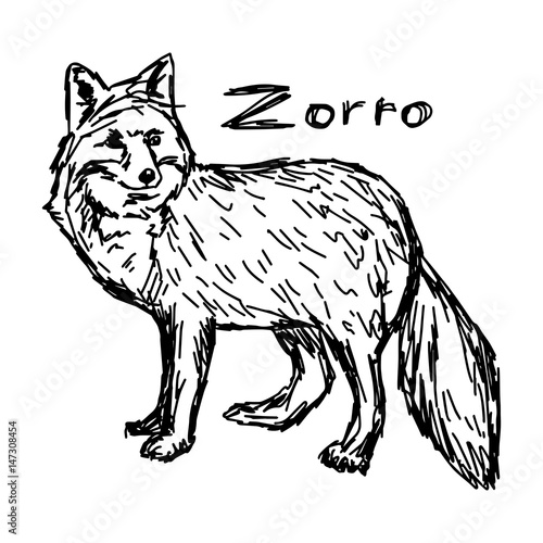 zorro standing - vector illustration sketch hand drawn with black lines, isolated on white background