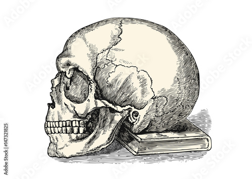 vintage vector design element: human skull on a book isolated on white, symbol for wisdom and knowledge through reading