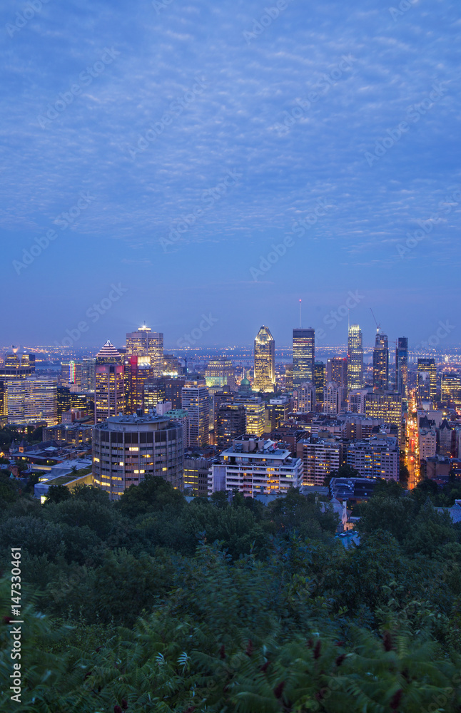 Naklejka premium Montreal Skyline at dusk