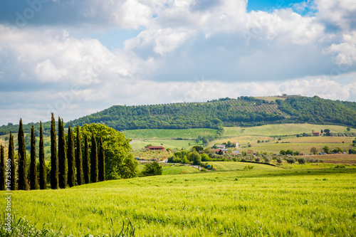 Paysage du val d Orcia en Toscane