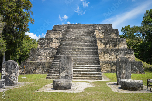 One of the twin pyramids of the Complex Q and numerous stellae in Tikal National Park and archaeological site, Guatemala. Central America photo