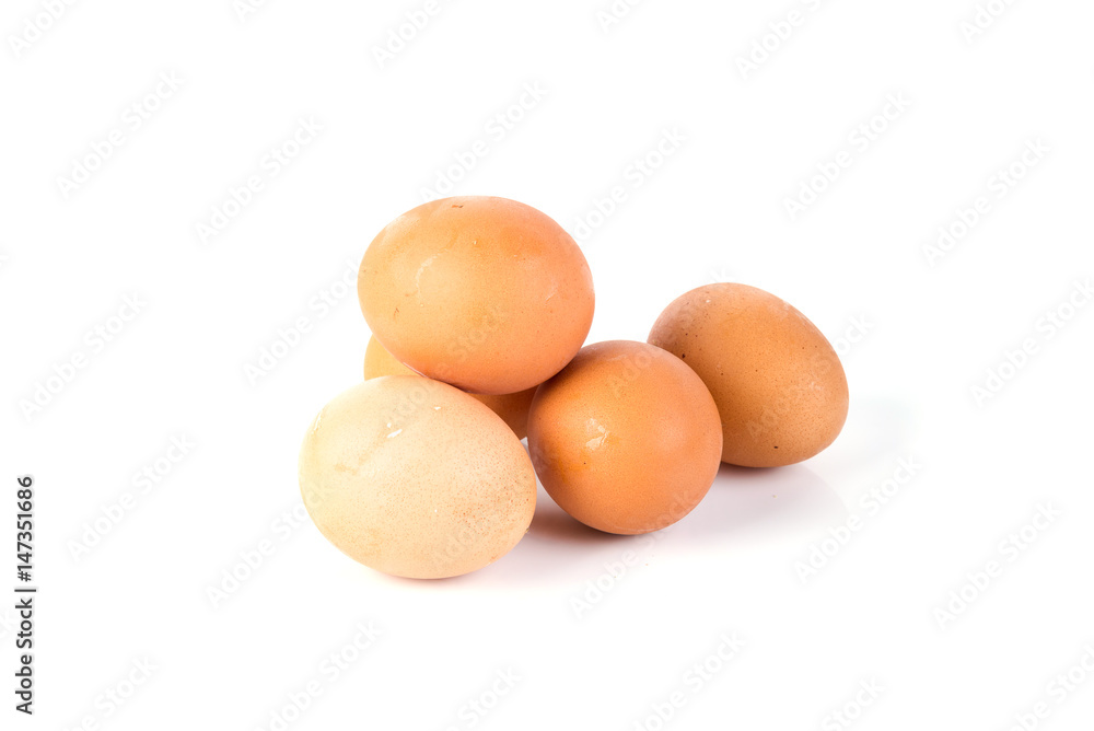egg isolated egg isolated