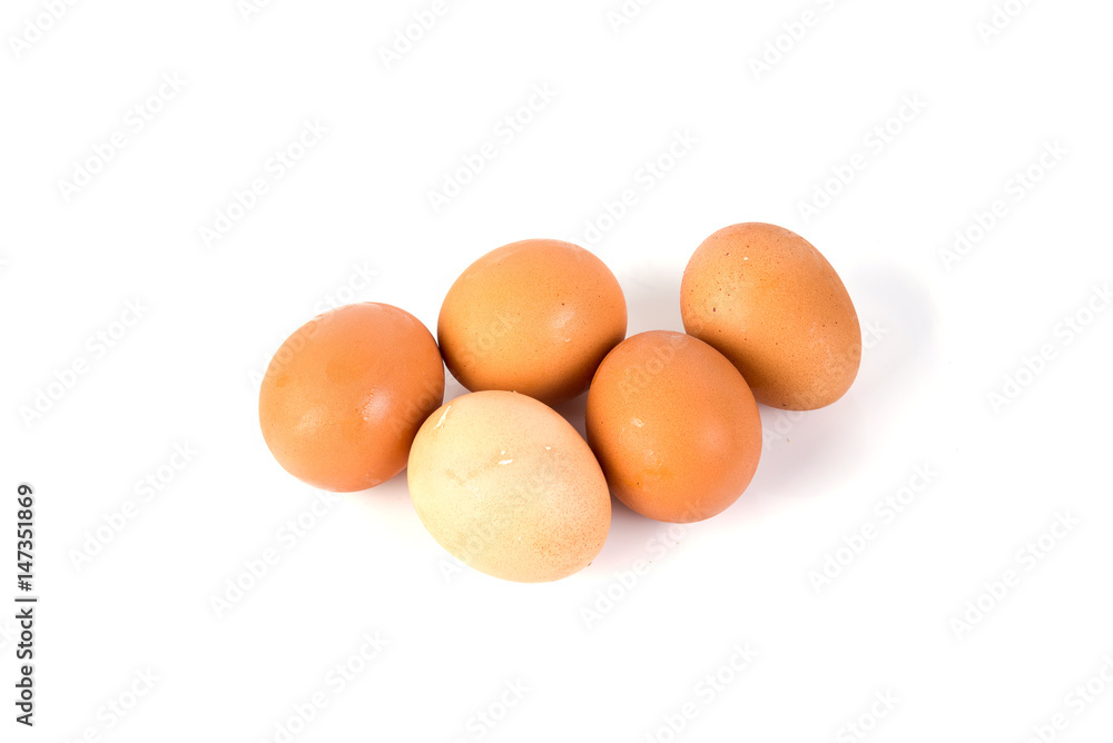 egg isolated egg isolated