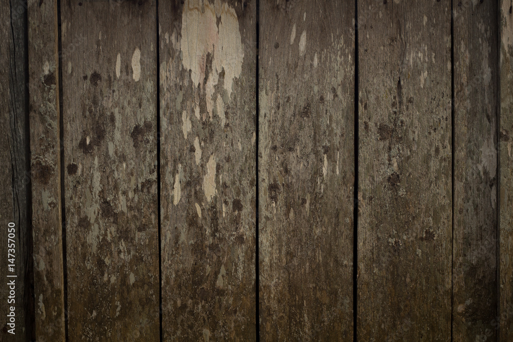 Old vertical wood panel Old vertical wood panel