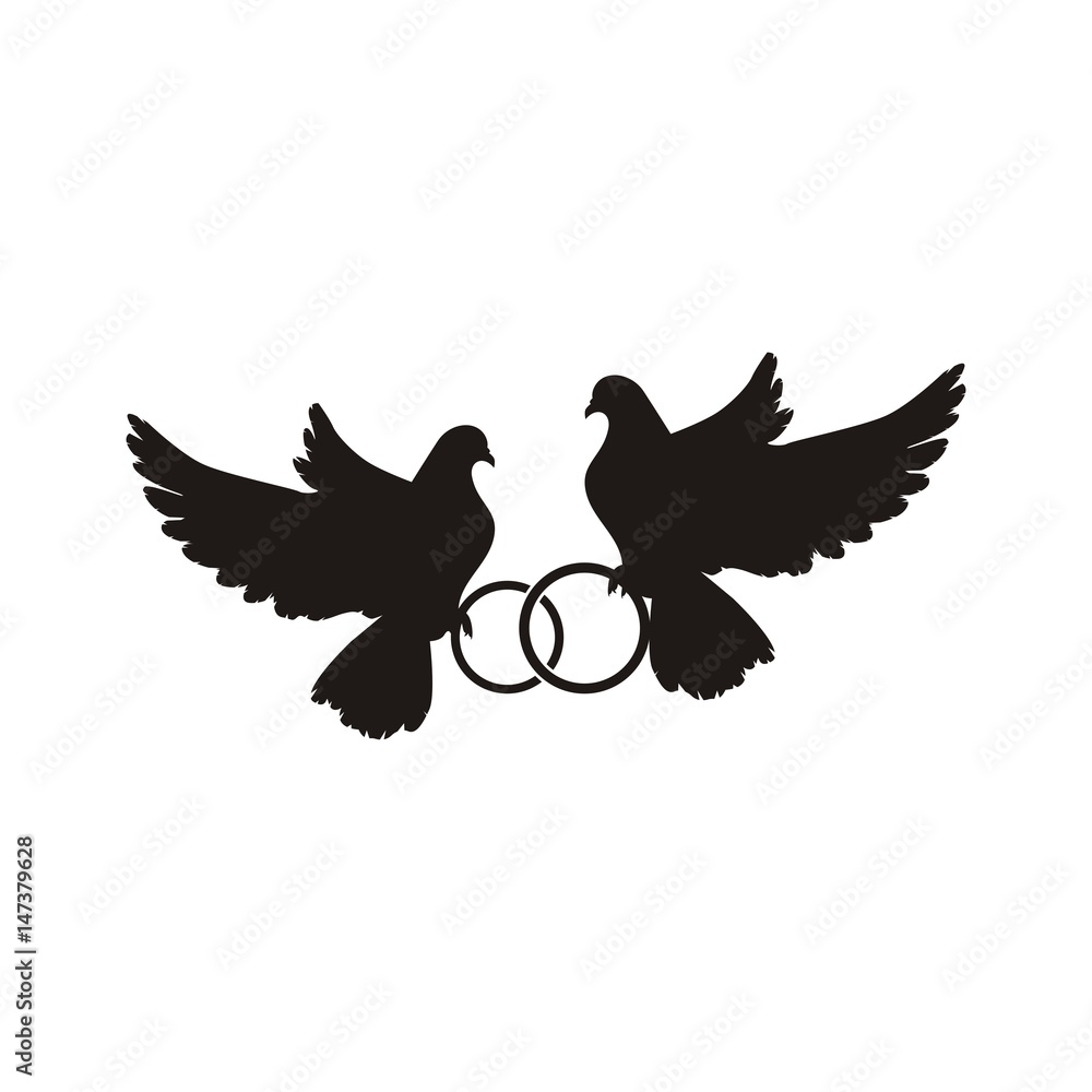 Fototapeta premium голубь