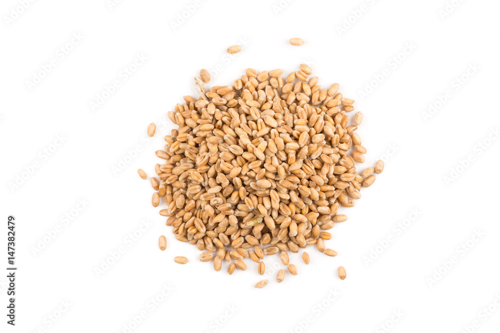 Wheat grain on white Wheat grain on white