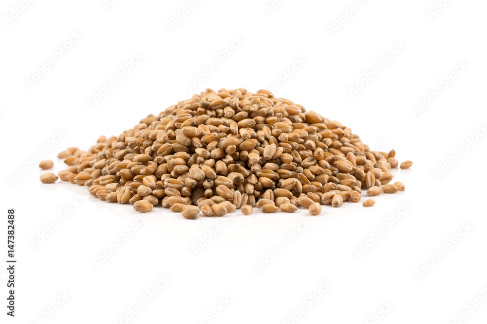 Wheat grain on white Wheat grain on white