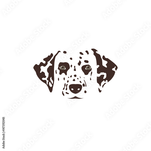 Dalmatian head. Brown spotty dog.  