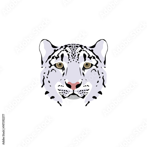 Spotty head of a snow leopard with brown eyes. 