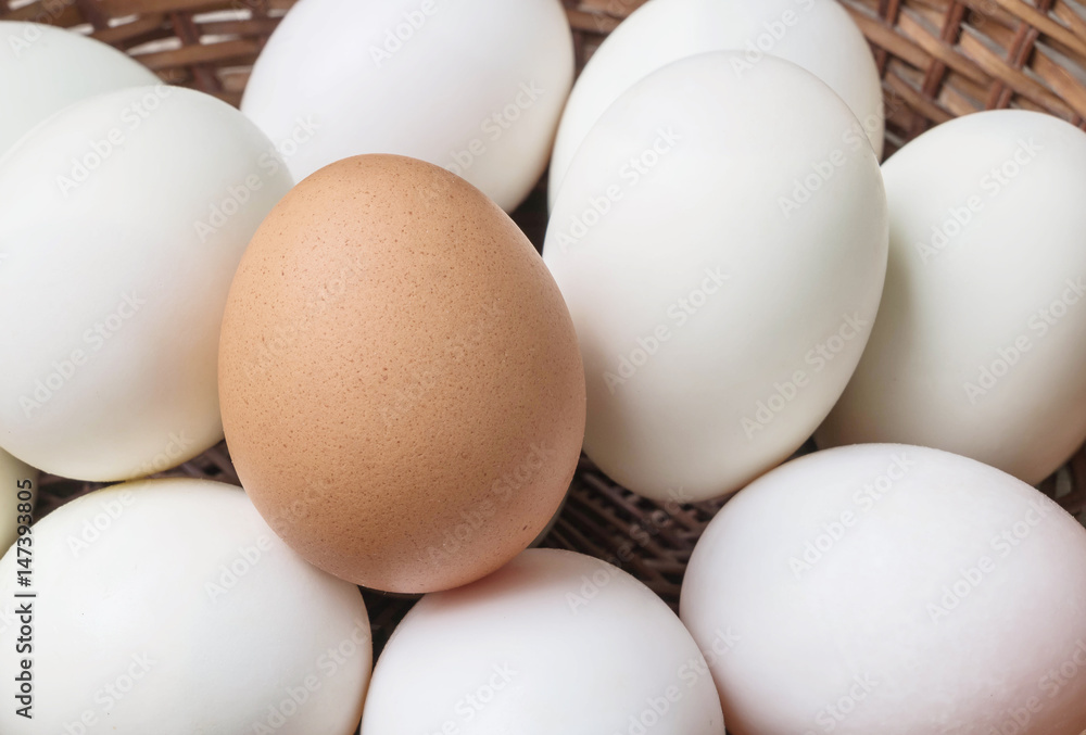 Closeup brown chicken egg on pile of white duck egg on wood basket background Closeup brown chicken egg on pile of white duck egg on wood basket background