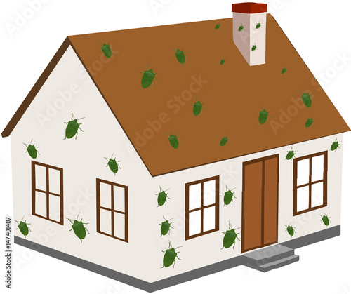 casa invasa da  cimici