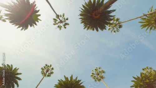 Driving under Beverly Hills palm trees with sun beam, California